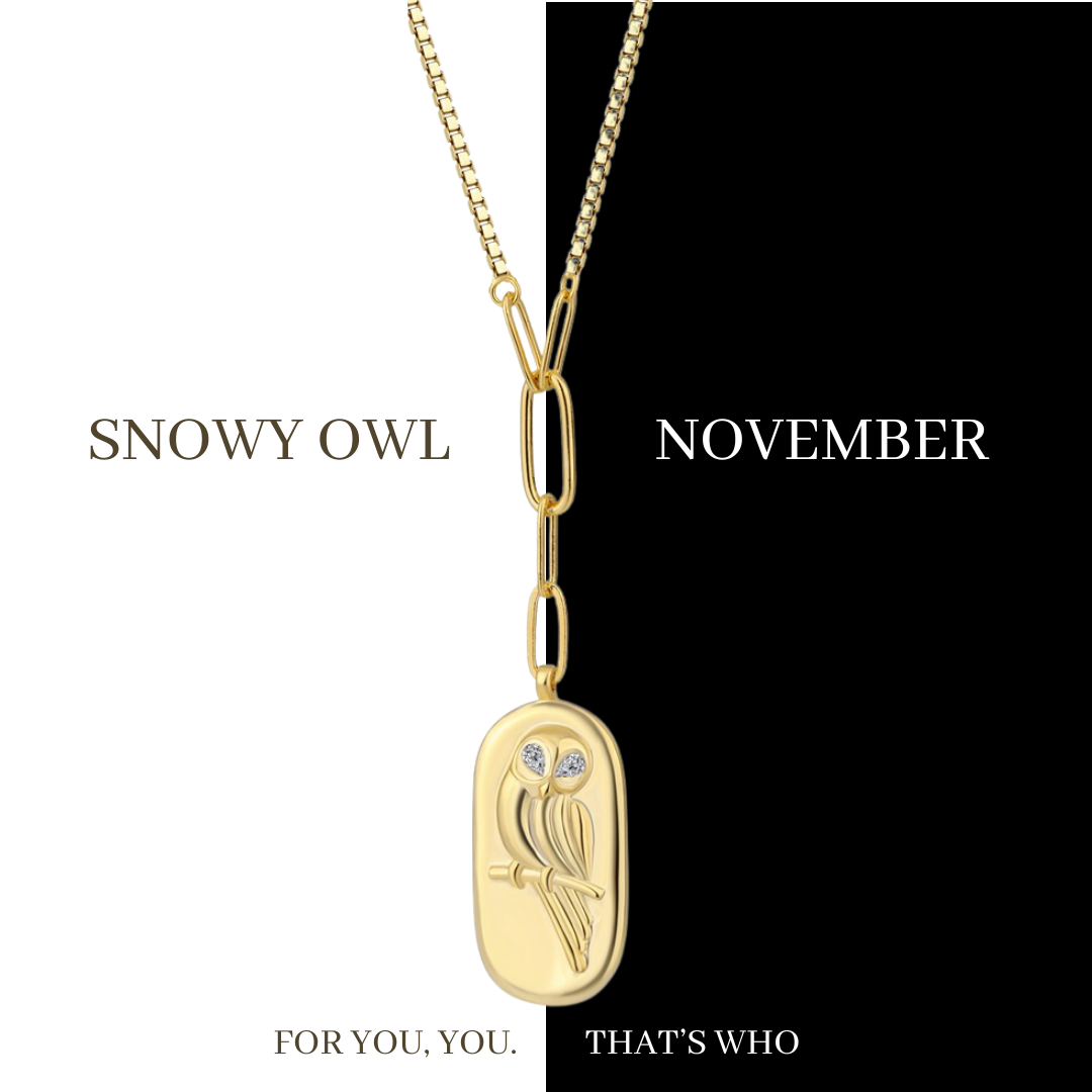 Monthly Subscription