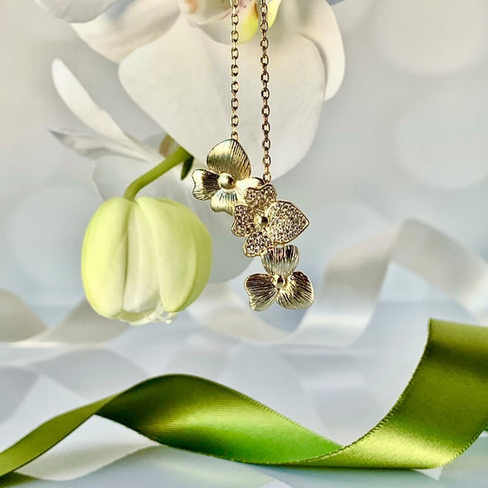 Orchid Collection